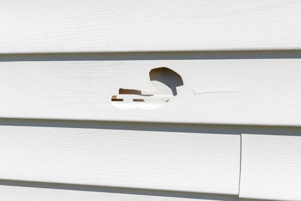 How To Choose The Right Materials for Your Siding Installation in 'Dunnigan, CA